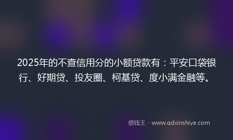 2025年的不查信用分的小额贷款有：平安口袋银行、好期贷、投友圈、柯基贷、度小满金融等。