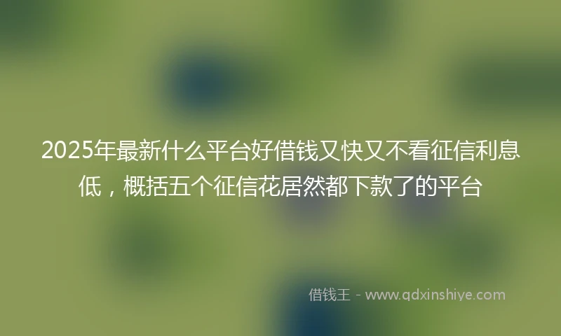2025年最新什么平台好借钱又快又不看征信利息低，概括五个征信花居然都下款了的平台