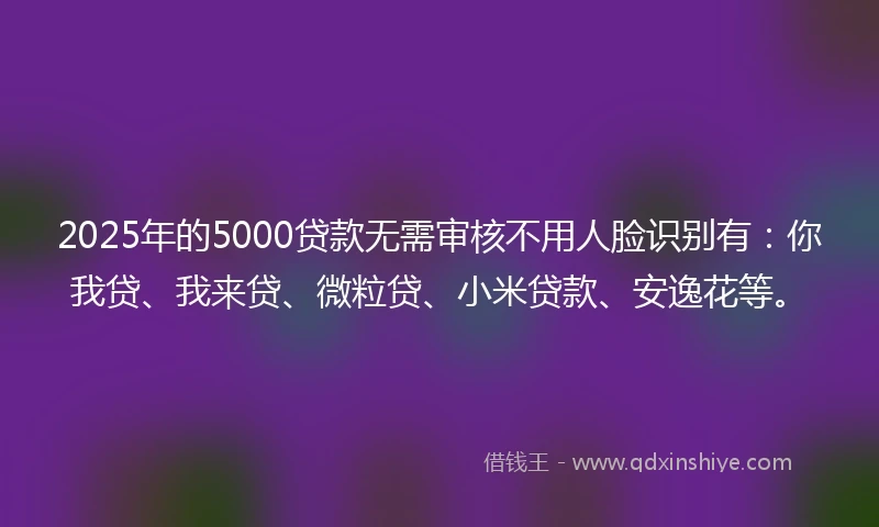 2025年的5000贷款无需审核不用人脸识别有：你我贷、我来贷、微粒贷、小米贷款、安逸花等。