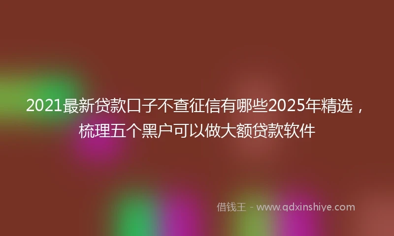 2021最新贷款口子不查征信有哪些2025年精选，梳理五个黑户可以做大额贷款软件