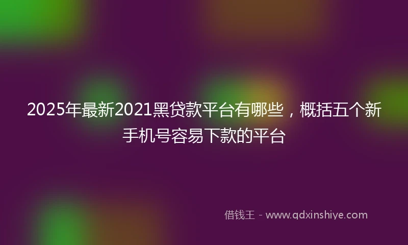 2025年最新2021黑贷款平台有哪些，概括五个新手机号容易下款的平台