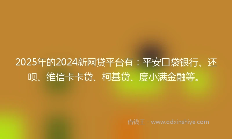 2025年的2024新网贷平台有：平安口袋银行、还呗、维信卡卡贷、柯基贷、度小满金融等。