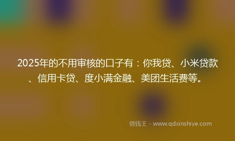 2025年的不用审核的口子有：你我贷、小米贷款、信用卡贷、度小满金融、美团生活费等。
