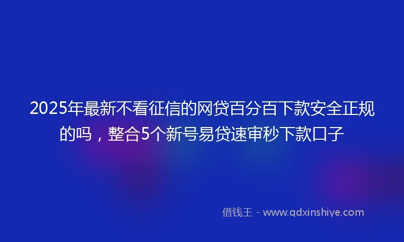 2025年最新不看征信的网贷百分百下款安全正规的吗，整合5个新号易贷速审秒下款口子