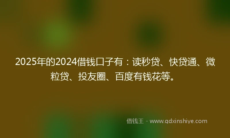 2025年的2024借钱口子有：读秒贷、快贷通、微粒贷、投友圈、百度有钱花等。