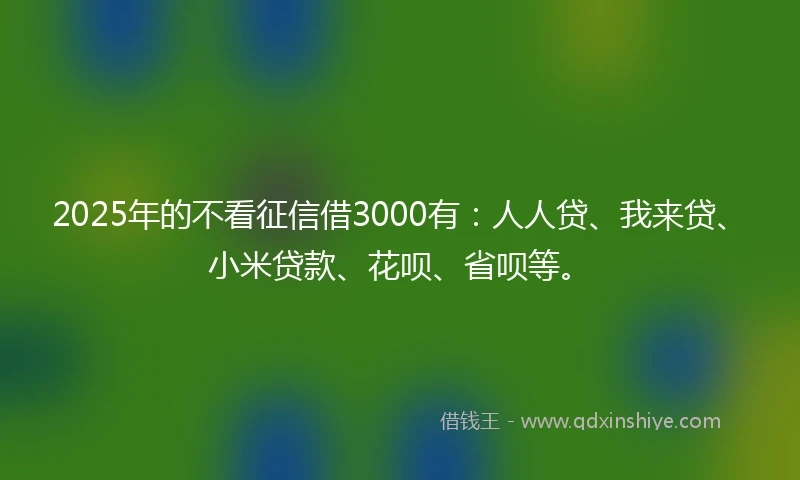 2025年的不看征信借3000有：人人贷、我来贷、小米贷款、花呗、省呗等。