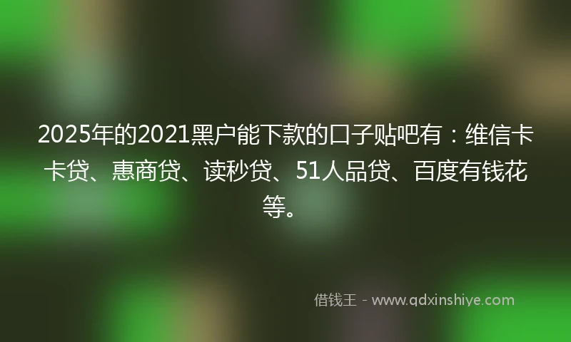 2025年的2021黑户能下款的口子贴吧有：维信卡卡贷、惠商贷、读秒贷、51人品贷、百度有钱花等。