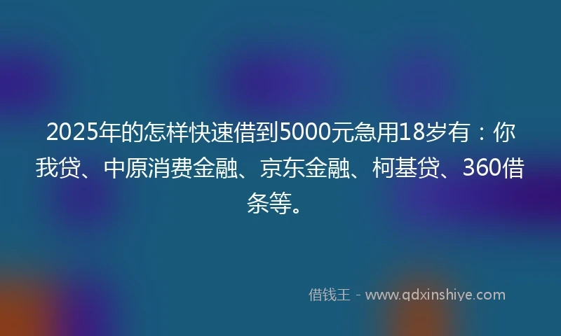 2025年的怎样快速借到5000元急用18岁有：你我贷、中原消费金融、京东金融、柯基贷、360借条等。