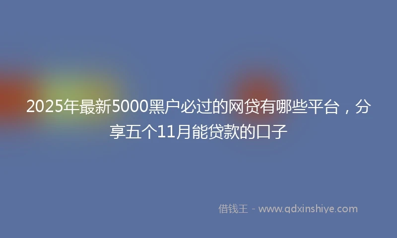 2025年最新5000黑户必过的网贷有哪些平台，分享五个11月能贷款的口子