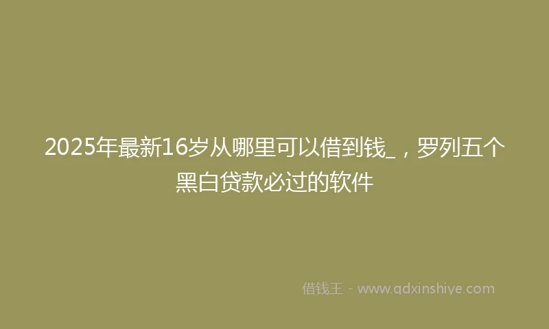2025年最新16岁从哪里可以借到钱_，罗列五个黑白贷款必过的软件