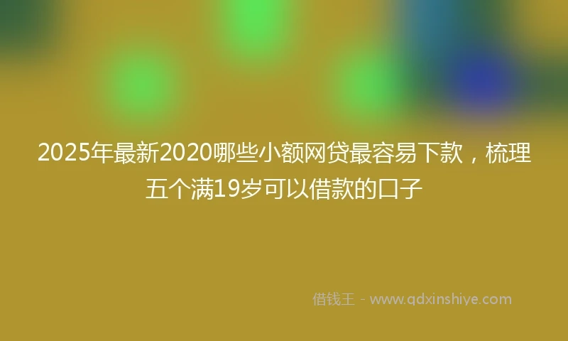 2025年最新2020哪些小额网贷最容易下款，梳理五个满19岁可以借款的口子