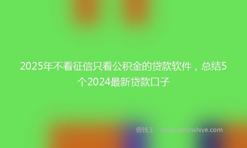 2025年不看征信只看公积金的贷款软件，总结5个2024最新贷款口子