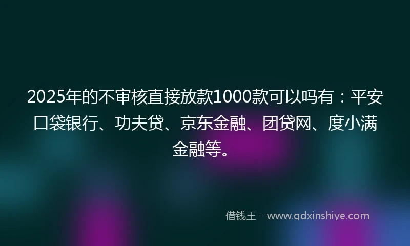 2025年的不审核直接放款1000款可以吗有：平安口袋银行、功夫贷、京东金融、团贷网、度小满金融等。