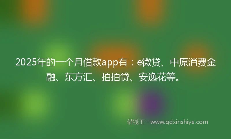2025年的一个月借款app有：e微贷、中原消费金融、东方汇、拍拍贷、安逸花等。