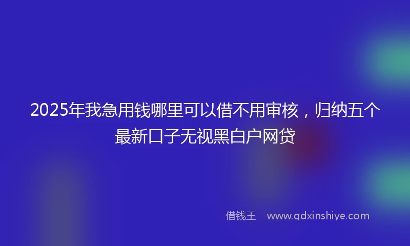 2025年我急用钱哪里可以借不用审核，归纳五个最新口子无视黑白户网贷