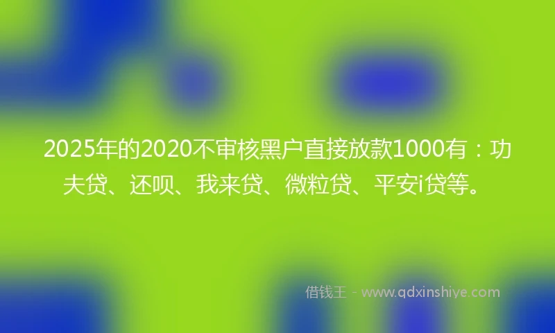2025年的2020不审核黑户直接放款1000有：功夫贷、还呗、我来贷、微粒贷、平安i贷等。