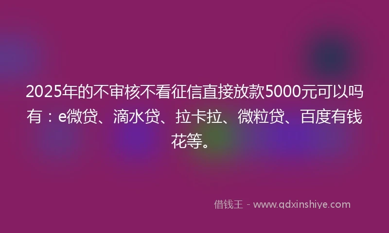 2025年的不审核不看征信直接放款5000元可以吗有：e微贷、滴水贷、拉卡拉、微粒贷、百度有钱花等。