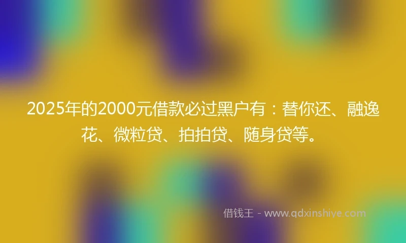 2025年的2000元借款必过黑户有：替你还、融逸花、微粒贷、拍拍贷、随身贷等。