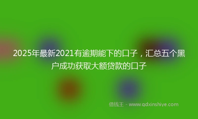 2025年最新2021有逾期能下的口子，汇总五个黑户成功获取大额贷款的口子
