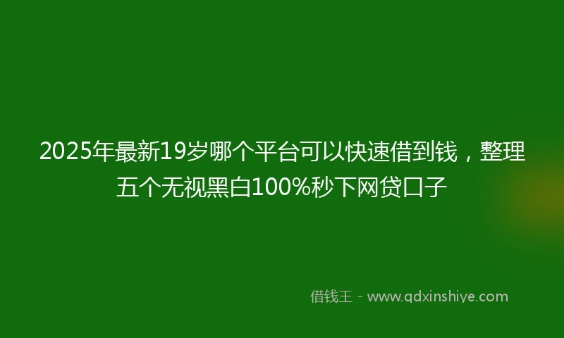 2025年最新19岁哪个平台可以快速借到钱，整理五个无视黑白100%秒下网贷口子