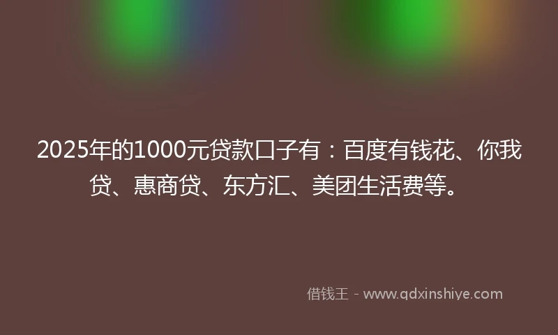 2025年的1000元贷款口子有：百度有钱花、你我贷、惠商贷、东方汇、美团生活费等。