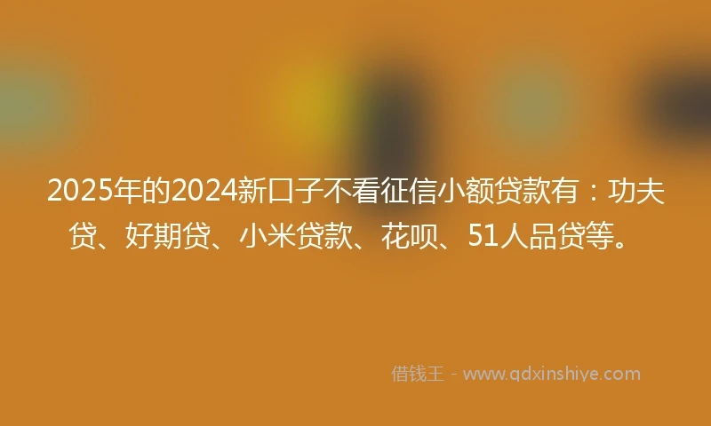 2025年的2024新口子不看征信小额贷款有：功夫贷、好期贷、小米贷款、花呗、51人品贷等。