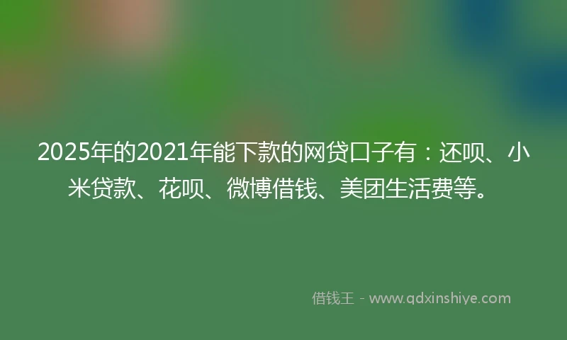 2025年的2021年能下款的网贷口子有：还呗、小米贷款、花呗、微博借钱、美团生活费等。