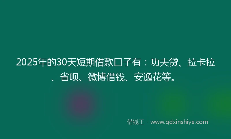2025年的30天短期借款口子有：功夫贷、拉卡拉、省呗、微博借钱、安逸花等。
