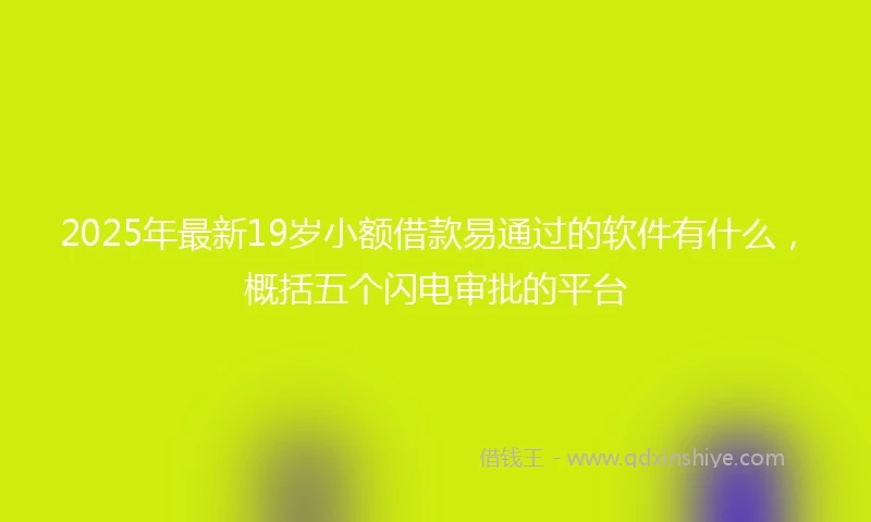 2025年最新19岁小额借款易通过的软件有什么，概括五个闪电审批的平台
