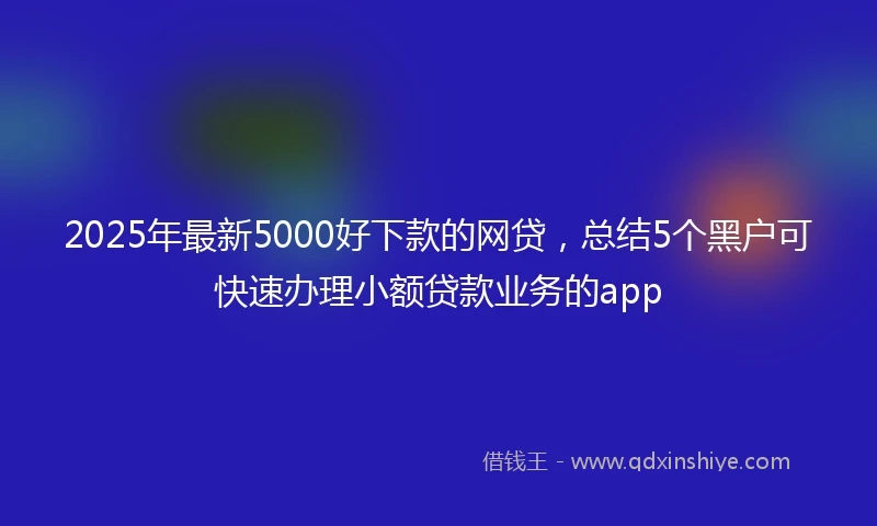 2025年最新5000好下款的网贷，总结5个黑户可快速办理小额贷款业务的app