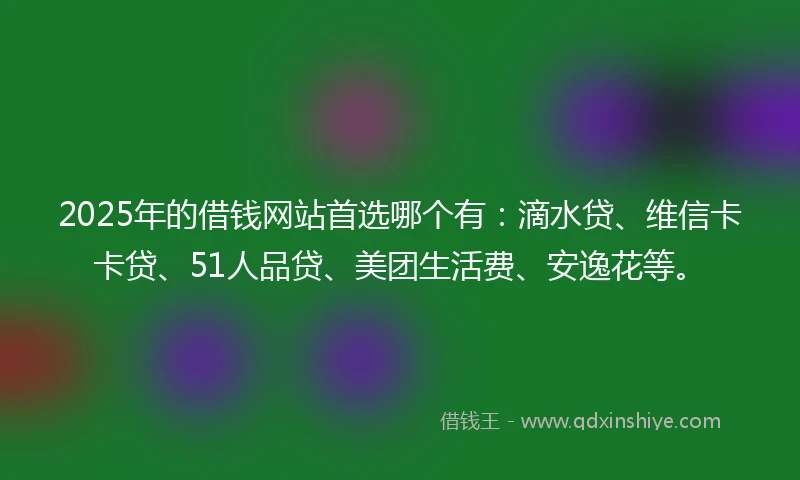 2025年的借钱网站首选哪个有：滴水贷、维信卡卡贷、51人品贷、美团生活费、安逸花等。