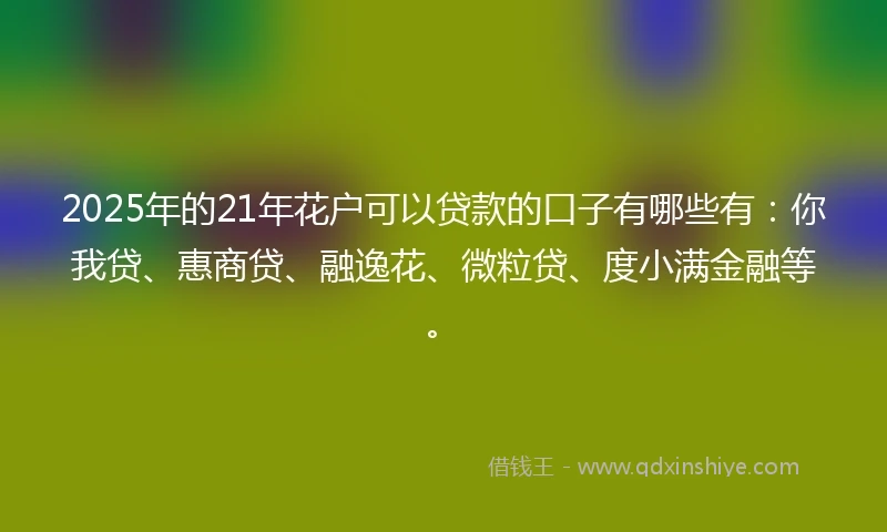 2025年的21年花户可以贷款的口子有哪些有：你我贷、惠商贷、融逸花、微粒贷、度小满金融等。