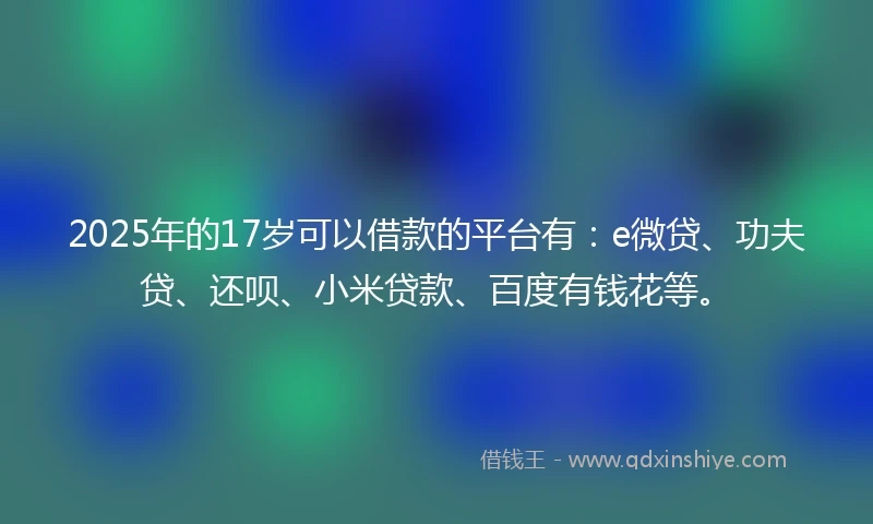 2025年的17岁可以借款的平台有：e微贷、功夫贷、还呗、小米贷款、百度有钱花等。