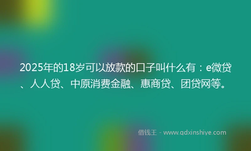2025年的18岁可以放款的口子叫什么有：e微贷、人人贷、中原消费金融、惠商贷、团贷网等。