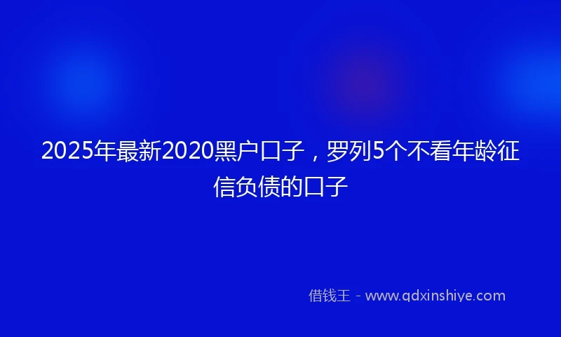 2025年最新2020黑户口子，罗列5个不看年龄征信负债的口子