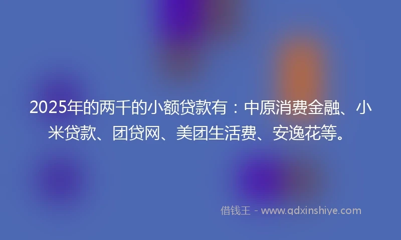 2025年的两千的小额贷款有：中原消费金融、小米贷款、团贷网、美团生活费、安逸花等。