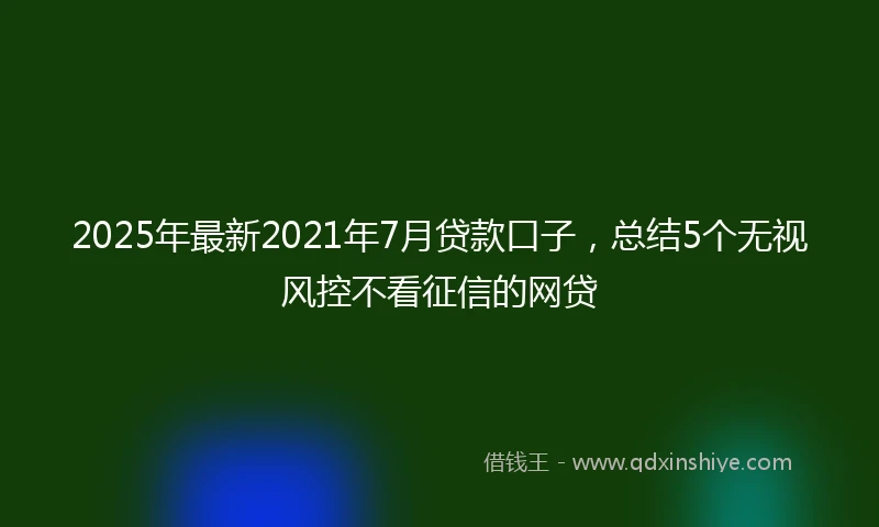 2025年最新2021年7月贷款口子，总结5个无视风控不看征信的网贷