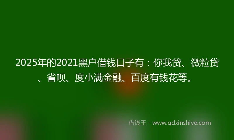 2025年的2021黑户借钱口子有：你我贷、微粒贷、省呗、度小满金融、百度有钱花等。