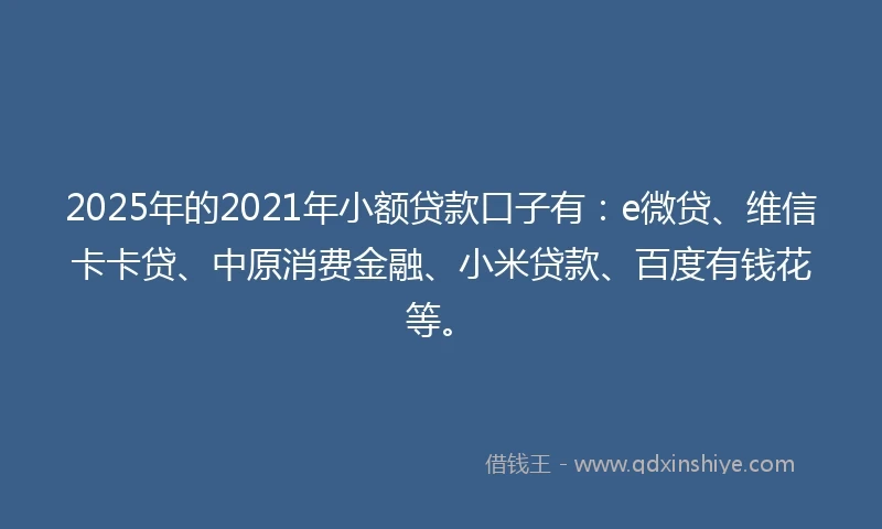 2025年的2021年小额贷款口子有：e微贷、维信卡卡贷、中原消费金融、小米贷款、百度有钱花等。
