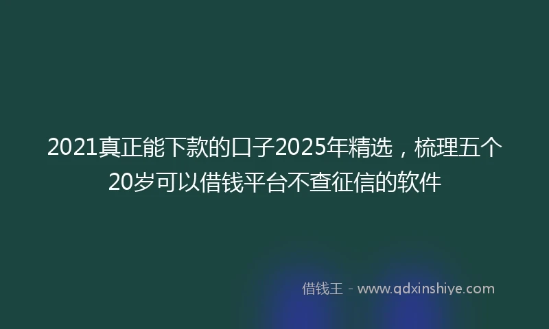 2021真正能下款的口子2025年精选，梳理五个20岁可以借钱平台不查征信的软件