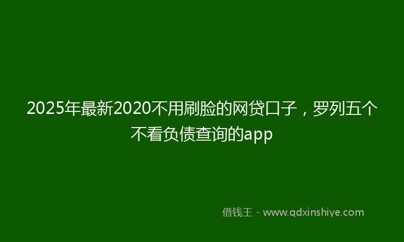 2025年最新2020不用刷脸的网贷口子，罗列五个不看负债查询的app