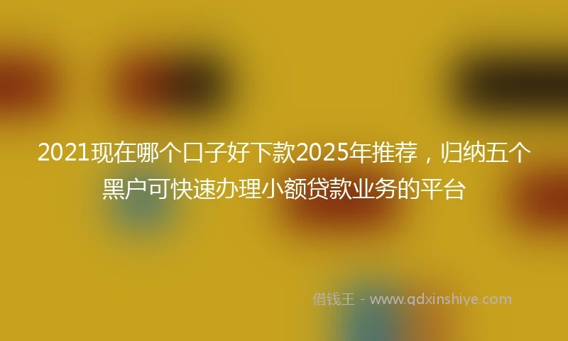 2021现在哪个口子好下款2025年推荐，归纳五个黑户可快速办理小额贷款业务的平台