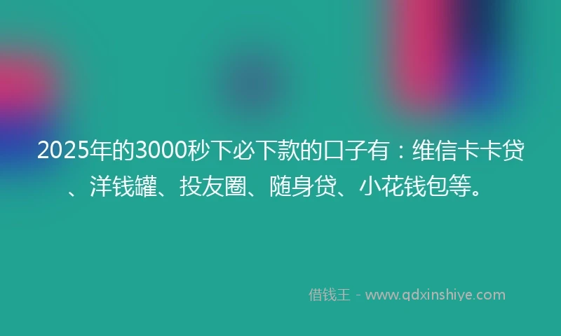 2025年的3000秒下必下款的口子有：维信卡卡贷、洋钱罐、投友圈、随身贷、小花钱包等。