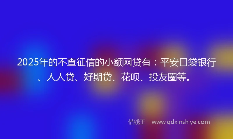 2025年的不查征信的小额网贷有：平安口袋银行、人人贷、好期贷、花呗、投友圈等。
