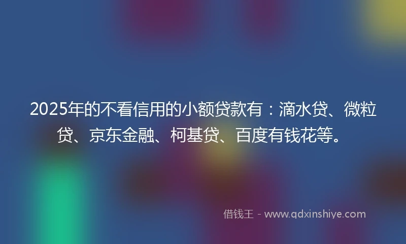 2025年的不看信用的小额贷款有：滴水贷、微粒贷、京东金融、柯基贷、百度有钱花等。