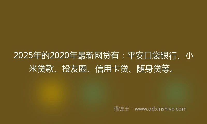 2025年的2020年最新网贷有：平安口袋银行、小米贷款、投友圈、信用卡贷、随身贷等。