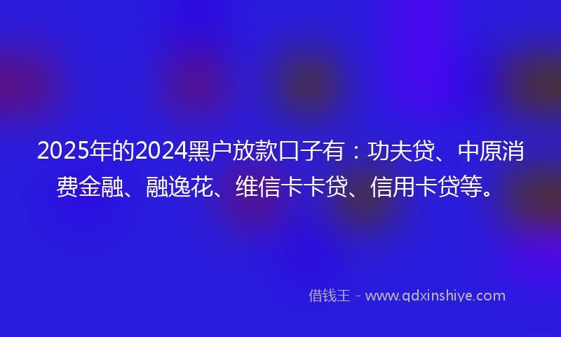 2025年的2024黑户放款口子有：功夫贷、中原消费金融、融逸花、维信卡卡贷、信用卡贷等。