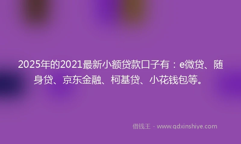 2025年的2021最新小额贷款口子有：e微贷、随身贷、京东金融、柯基贷、小花钱包等。