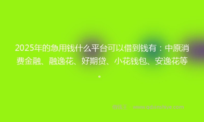 2025年的急用钱什么平台可以借到钱有：中原消费金融、融逸花、好期贷、小花钱包、安逸花等。