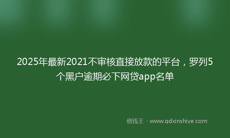 2025年最新2021不审核直接放款的平台，罗列5个黑户逾期必下网贷app名单